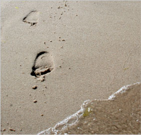 Füßabdrücke
            im Sand